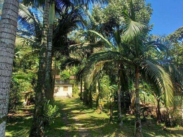 Sítio e chácara venda em Região Geográfica Imediata de Florianópolis, Desterro