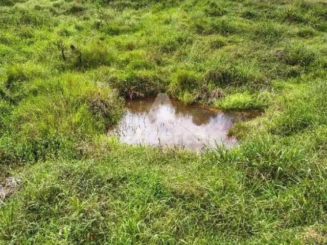 Sítio e chácara venda em Região Geográfica Imediata de Florianópolis, Biguaçu