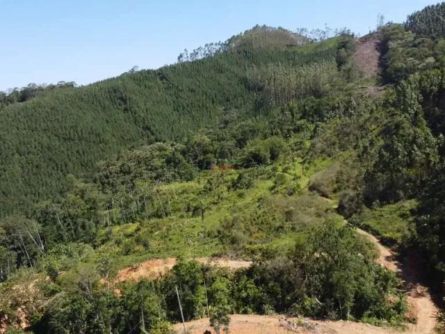 Sítio e chácara venda em Região Geográfica Imediata de Brusque, São João Batista