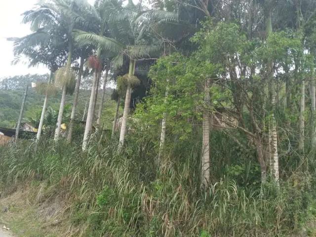 Sítio e chácara venda em Região Geográfica Imediata de Florianópolis, Biguaçu