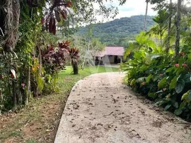 Sítio e chácara venda em Região Geográfica Imediata de Florianópolis, Biguaçu