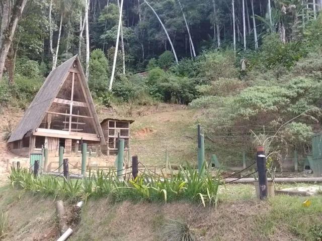 Sítio e chácara venda em Região Geográfica Imediata de Florianópolis, Biguaçu