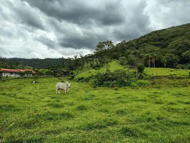 Sítio e chácara venda em Região Geográfica Imediata de Florianópolis, Biguaçu
