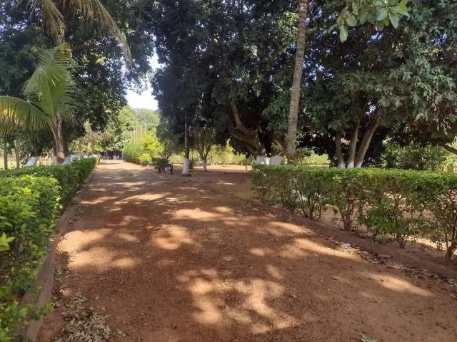 Sítio e chácara venda em Região Imediata de Birigui-Penápolis, Birigui
