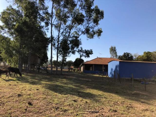 Sítio e chácara venda em Região Imediata de Birigui-Penápolis, Birigui