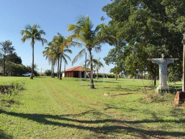 Sítio e chácara venda em Birigui, Região Geográfica Intermediária de Araçatuba