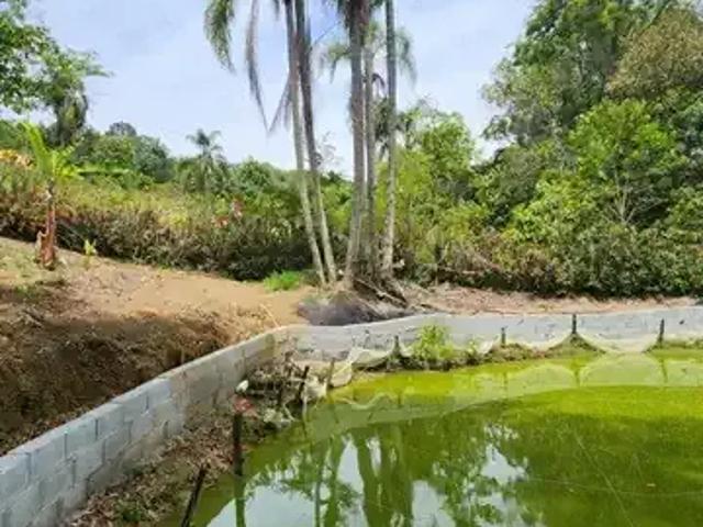 Sítio e chácara venda em Região Imediata de São Paulo, Região Metropolitana de São Paulo