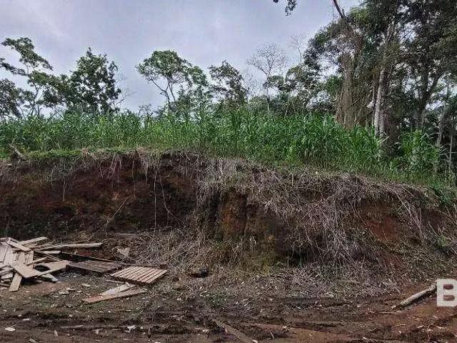 Sítio e chácara venda em Região Geográfica Imediata de Blumenau, Blumenau