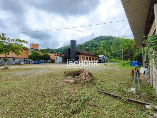 Sítio e chácara venda em Região Geográfica Imediata de Blumenau, Blumenau