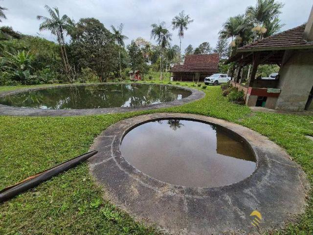 Sítio e chácara venda em Região Geográfica Imediata de Blumenau, Blumenau