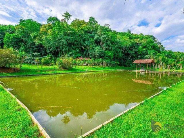 Sítio e chácara venda em Região Geográfica Imediata de Blumenau, Blumenau