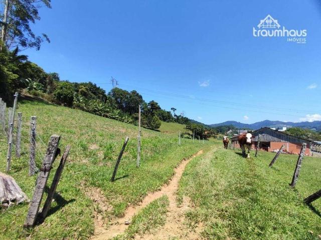Sítio e chácara venda em Região Geográfica Imediata de Blumenau, Blumenau