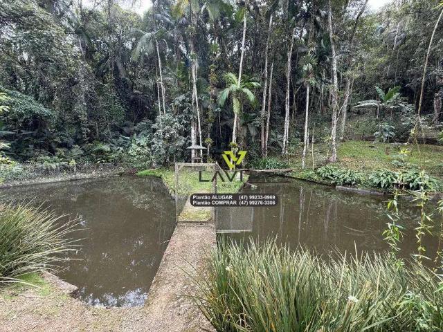 Sítio e chácara venda em Região Geográfica Imediata de Blumenau, Blumenau