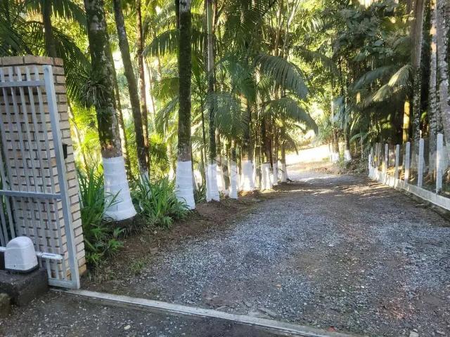 Sítio e chácara venda em Região Geográfica Imediata de Blumenau, Blumenau