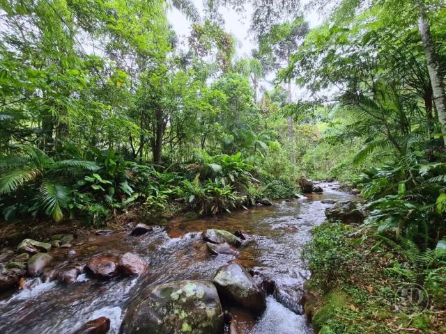Sítio e chácara venda em Região Geográfica Imediata de Blumenau, Blumenau
