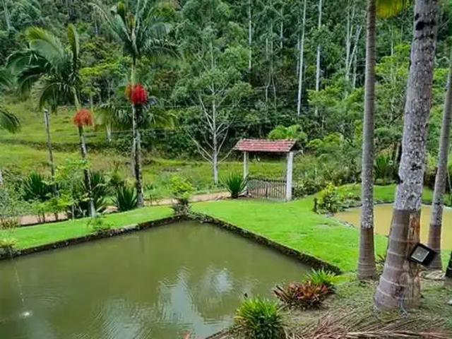 Sítio e chácara venda em Região Geográfica Imediata de Blumenau, Blumenau