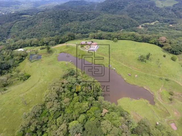 Sítio e chácara venda em Região Geográfica Imediata de Blumenau, Blumenau