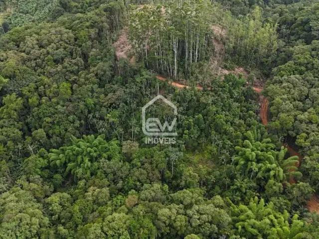 Sítio e chácara venda em Região Geográfica Imediata de Blumenau, Blumenau