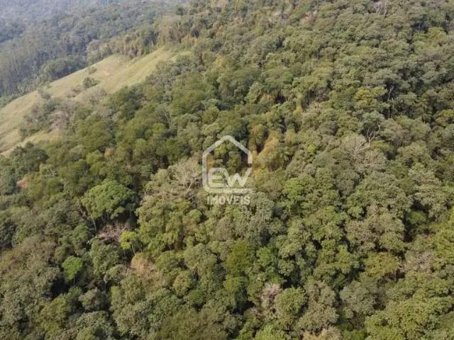 Sítio e chácara venda em Região Geográfica Imediata de Blumenau, Blumenau