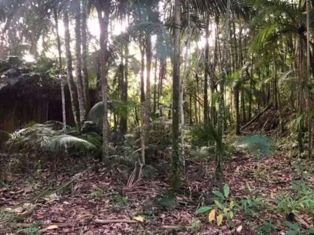Sítio e chácara venda em Blumenau, Região Geográfica Intermediária de Blumenau