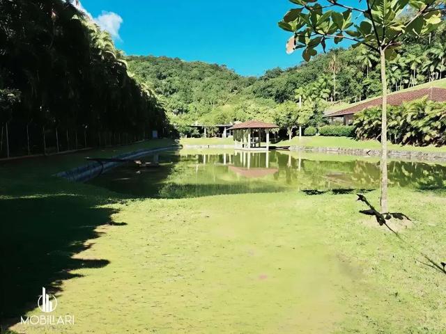 Sítio e chácara venda em Região Geográfica Imediata de Blumenau, Blumenau