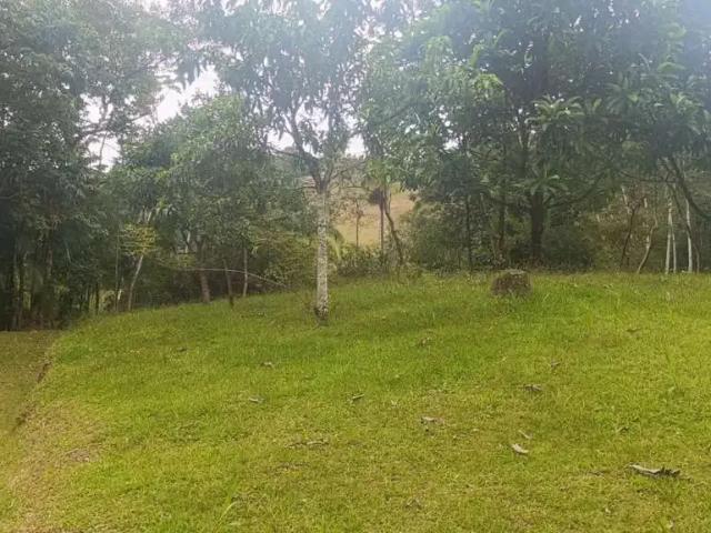 Sítio e chácara venda em Região Geográfica Imediata de Blumenau, Blumenau