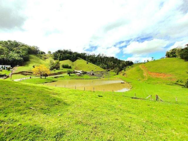 Sítio e chácara venda em Região Geográfica Imediata de Blumenau, Blumenau
