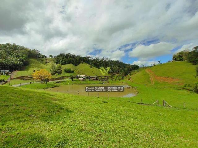 Sítio e chácara venda em Região Geográfica Imediata de Blumenau, Blumenau
