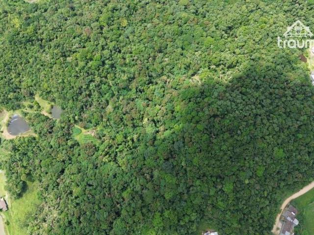 Sítio e chácara venda em Região Geográfica Imediata de Blumenau, Blumenau