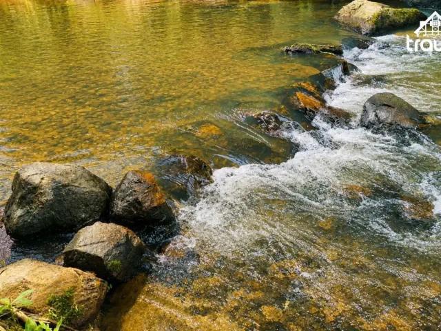Sítio e chácara venda em Região Geográfica Imediata de Blumenau, Blumenau