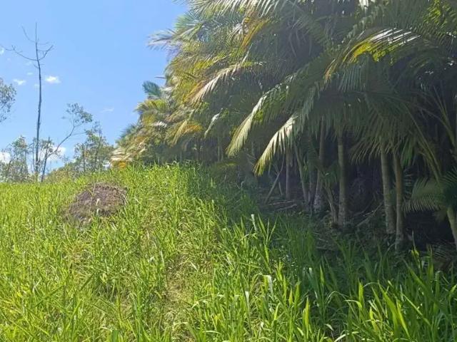 Sítio e chácara venda em Região Geográfica Imediata de Blumenau, Blumenau