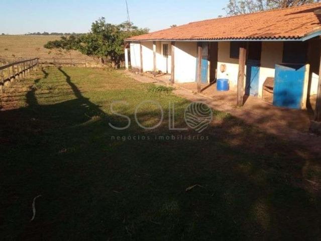 Sítio e chácara venda em Boa Esperança do Sul