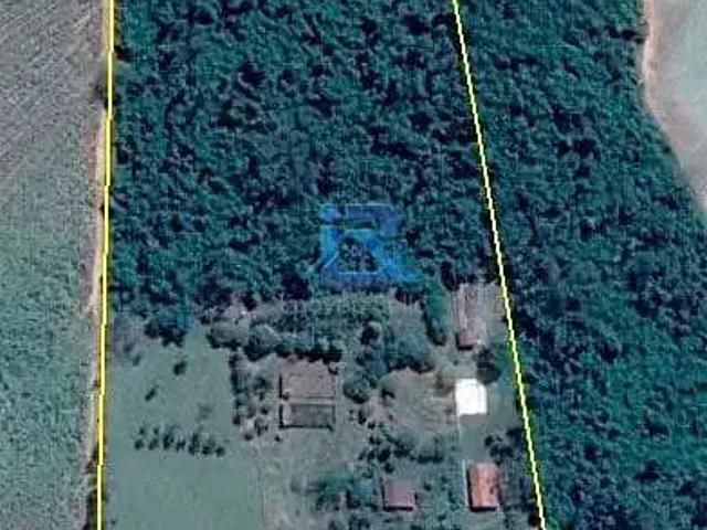 Sítio e chácara venda em Boa Esperança do Sul