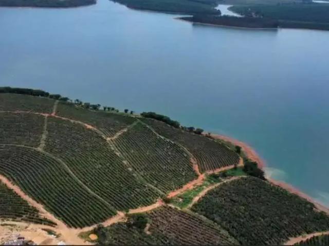 Sítio e chácara venda em Região Geográfica Imediata de Três Pontas - Boa Esperança, Boa Esperança