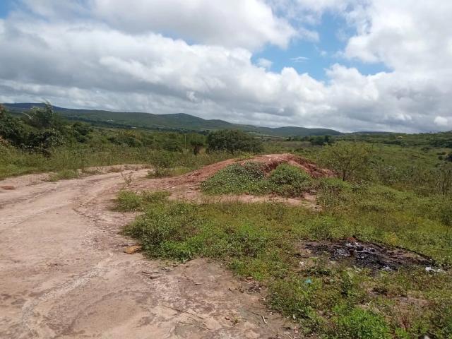 Sítio e chácara venda em Boa Nova