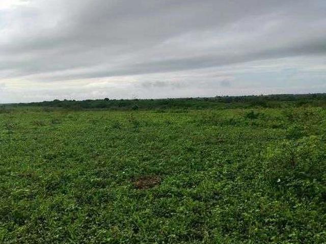 Sítio e chácara venda em Mutuá, São Gonçalo