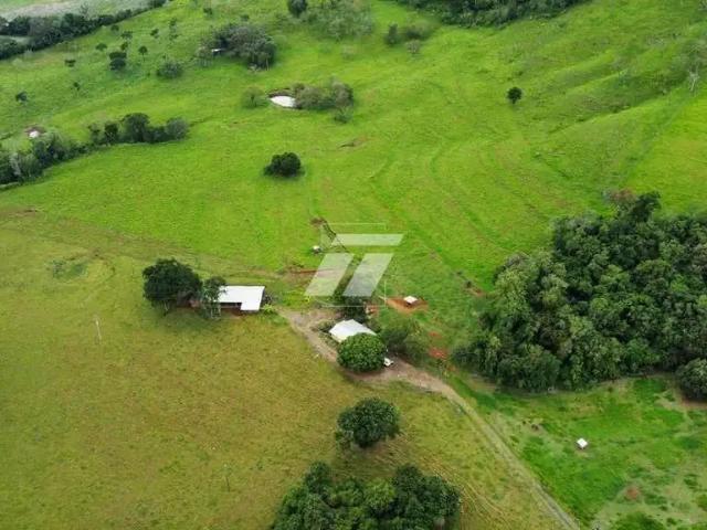 Sítio e chácara venda em Região Geográfica Imediata de Cascavel, Boa Vista da Aparecida