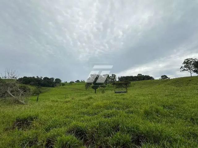 Sítio e chácara venda em Região Geográfica Imediata de Cascavel, Boa Vista da Aparecida