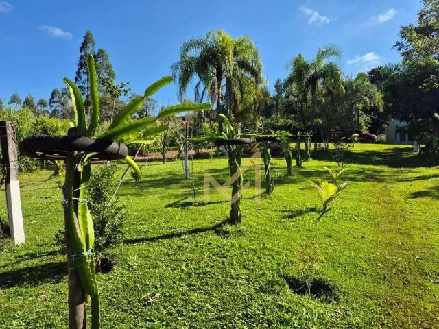 Sítio e chácara venda em Região Geográfica Imediata de Cascavel, Boa Vista da Aparecida