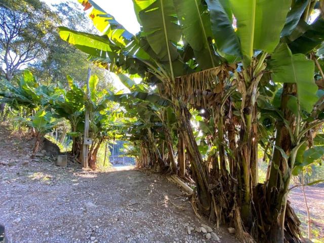 Sítio e chácara venda em Boa Vista do Sul, Região Geográfica Intermediária de Caxias do Sul