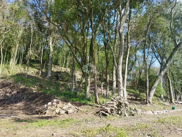 Sítio e chácara venda em Região Geográfica Imediata de Bento Gonçalves, Boa Vista do Sul