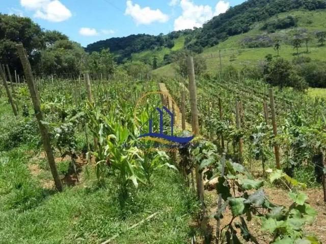 Sítio e chácara venda em Região Geográfica Imediata de Juiz de Fora, Bocaina de Minas