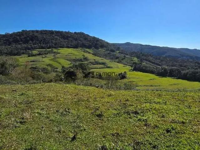 Sítio e chácara venda em Região Geográfica Imediata de Carazinho, Carazinho