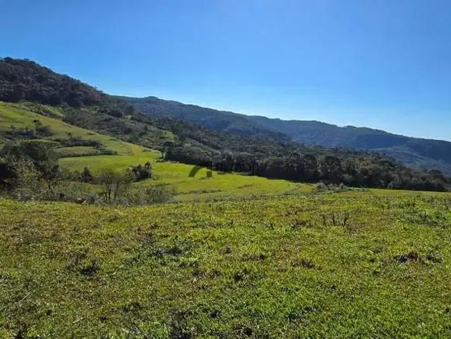 Sítio e chácara venda em Região Geográfica Imediata de Carazinho, Carazinho