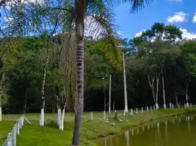 Sítio e chácara venda em Região Geográfica Imediata de Curitiba, Região Metropolitana de Curitiba