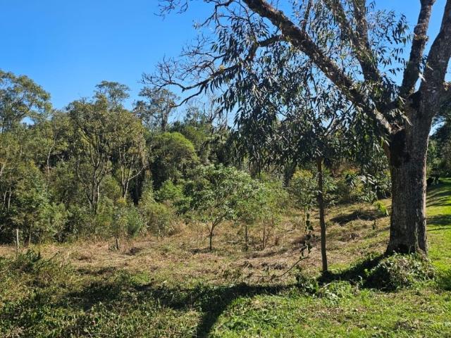 Sítio e chácara venda em Região Geográfica Imediata de Curitiba, Região Metropolitana de Curitiba
