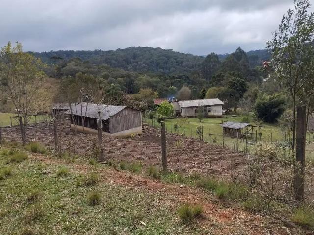 Sítio e chácara venda em Região Geográfica Imediata de Curitiba, Região Metropolitana de Curitiba