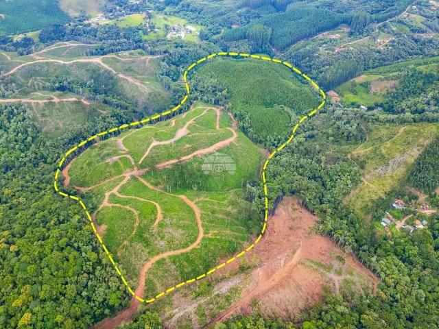 Sítio e chácara venda em Região Geográfica Imediata de Curitiba, Região Metropolitana de Curitiba
