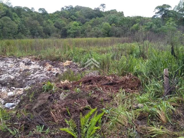 Sítio e chácara venda em Bocaiúva do Sul, Região Geográfica Intermediária de Curitiba
