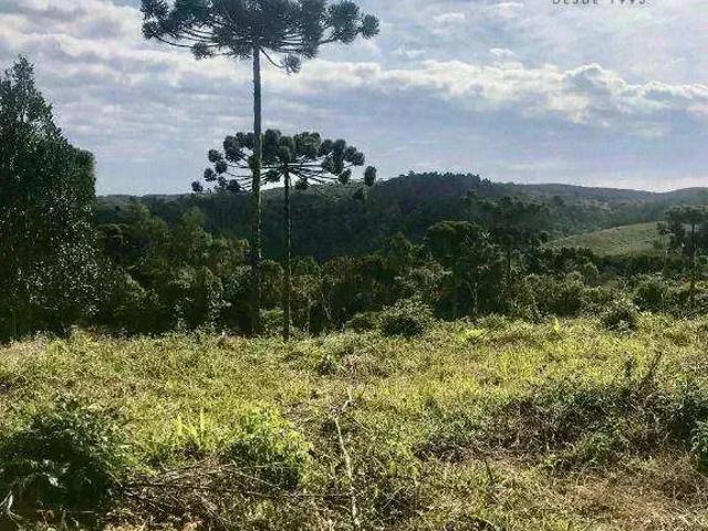 Sítio e chácara venda em Região Geográfica Imediata de Curitiba, Região Metropolitana de Curitiba